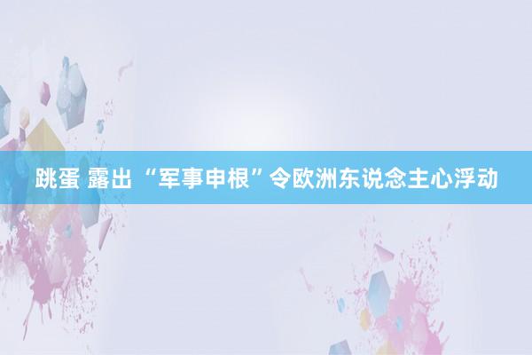 跳蛋 露出 “军事申根”令欧洲东说念主心浮动