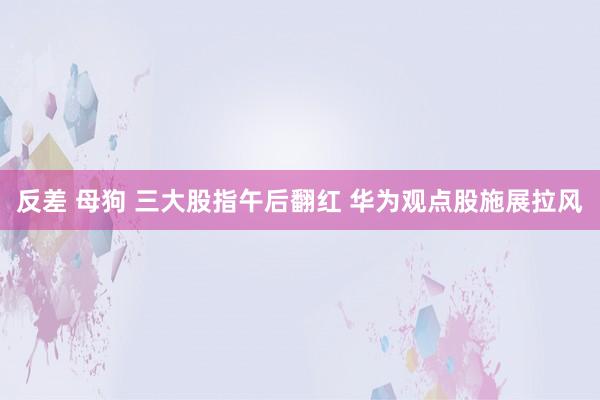 反差 母狗 三大股指午后翻红 华为观点股施展拉风