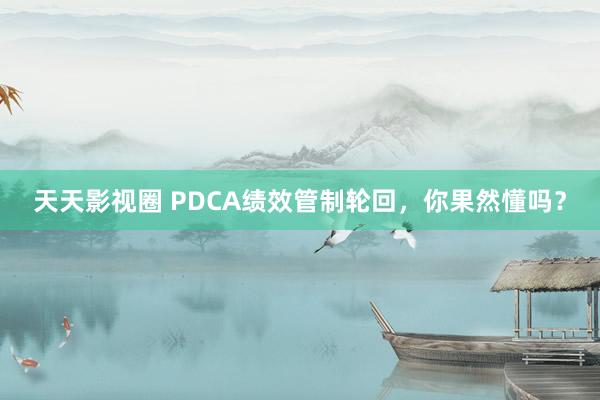 天天影视圈 PDCA绩效管制轮回，你果然懂吗？