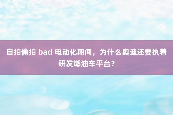 自拍偷拍 bad 电动化期间，为什么奥迪还要执着研发燃油车平台？