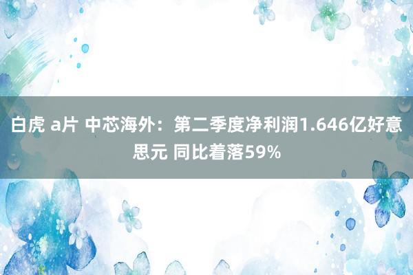 白虎 a片 中芯海外：第二季度净利润1.646亿好意思元 同比着落59%