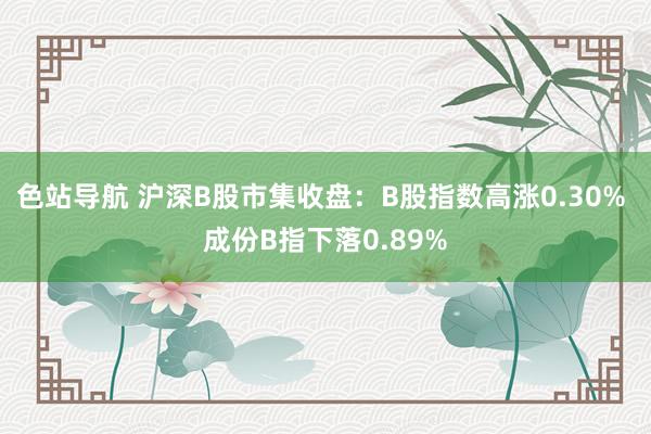 色站导航 沪深B股市集收盘：B股指数高涨0.30% 成份B指下落0.89%