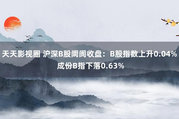 天天影视圈 沪深B股阛阓收盘：B股指数上升0.04% 成份B指下落0.63%