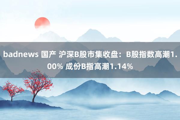 badnews 国产 沪深B股市集收盘：B股指数高潮1.00% 成份B指高潮1.14%