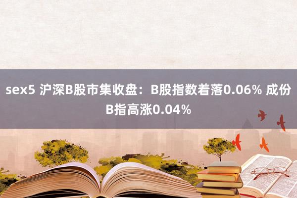 sex5 沪深B股市集收盘：B股指数着落0.06% 成份B指高涨0.04%