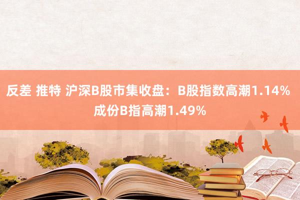 反差 推特 沪深B股市集收盘：B股指数高潮1.14% 成份B指高潮1.49%