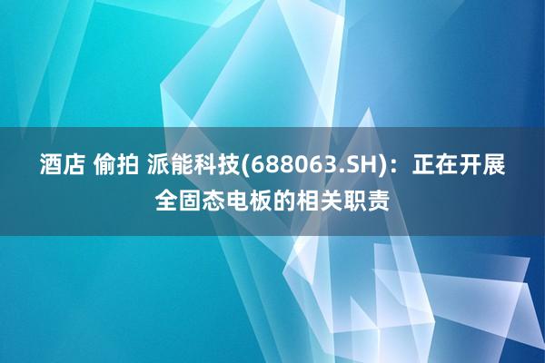 酒店 偷拍 派能科技(688063.SH)：正在开展全固态电板的相关职责