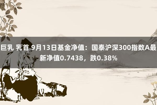 巨乳 乳首 9月13日基金净值：国泰沪深300指数A最新净值0.7438，跌0.38%