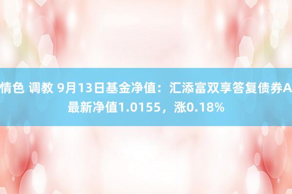 情色 调教 9月13日基金净值：汇添富双享答复债券A最新净值1.0155，涨0.18%