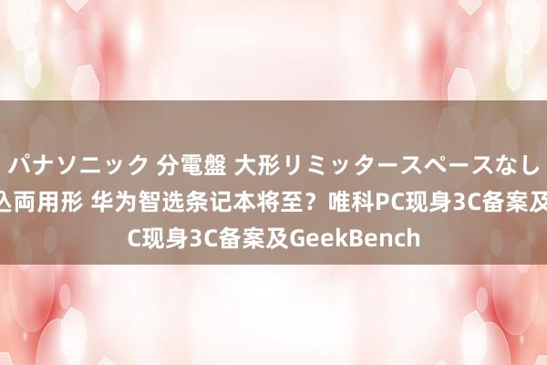 パナソニック 分電盤 大形リミッタースペースなし 露出・半埋込両用形 华为智选条记本将至？唯科PC现身3C备案及GeekBench