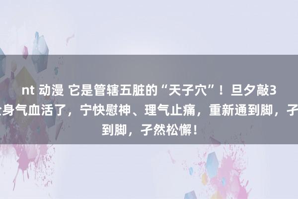 nt 动漫 它是管辖五脏的“天子穴”！旦夕敲30下，全身气血活了，宁快慰神、理气止痛，重新通到脚，孑然松懈！