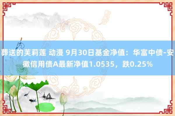 葬送的芙莉莲 动漫 9月30日基金净值：华富中债-安徽信用债A最新净值1.0535，跌0.25%