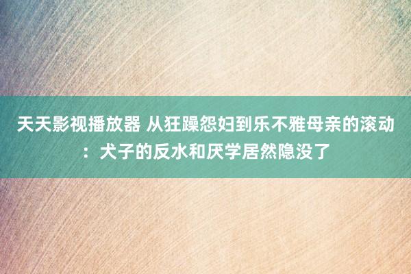 天天影视播放器 从狂躁怨妇到乐不雅母亲的滚动：犬子的反水和厌学居然隐没了