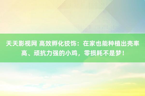 天天影视网 高效孵化狡饰：在家也能种植出壳率高、顽抗力强的小鸡，零损耗不是梦！