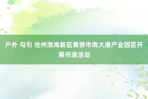 户外 勾引 沧州渤海新区黄骅市南大港产业园区开展书道活动