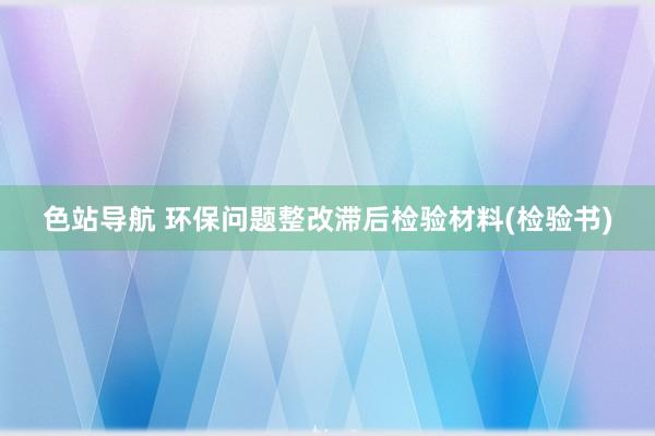 色站导航 环保问题整改滞后检验材料(检验书)