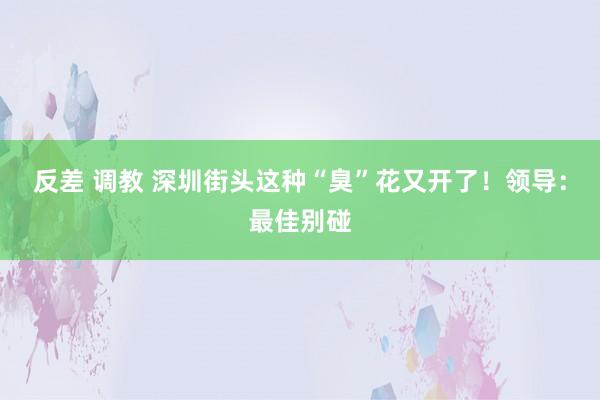 反差 调教 深圳街头这种“臭”花又开了！领导：最佳别碰