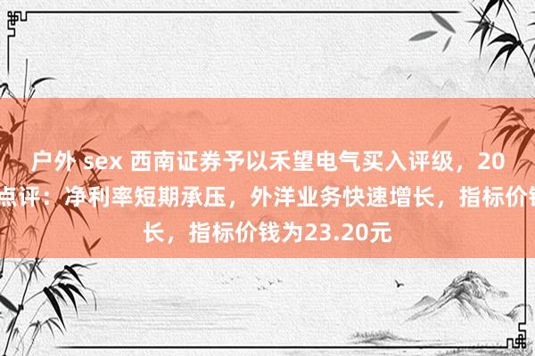 户外 sex 西南证券予以禾望电气买入评级，2024年三季报点评：净利率短期承压，外洋业务快速增长，指标价钱为23.20元