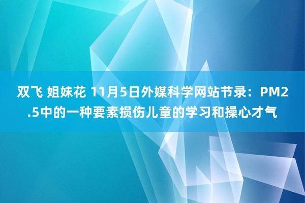 双飞 姐妹花 11月5日外媒科学网站节录：PM2.5中的一种要素损伤儿童的学习和操心才气