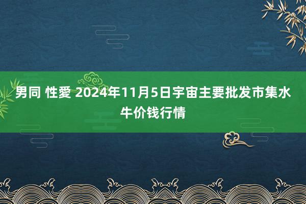 男同 性愛 2024年11月5日宇宙主要批发市集水牛价钱行情