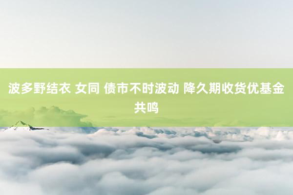 波多野结衣 女同 债市不时波动 降久期收货优基金共鸣