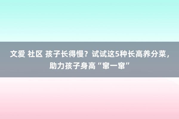 文爱 社区 孩子长得慢？试试这5种长高养分菜，助力孩子身高“窜一窜”