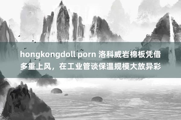 hongkongdoll porn 洛科威岩棉板凭借多重上风，在工业管谈保温规模大放异彩