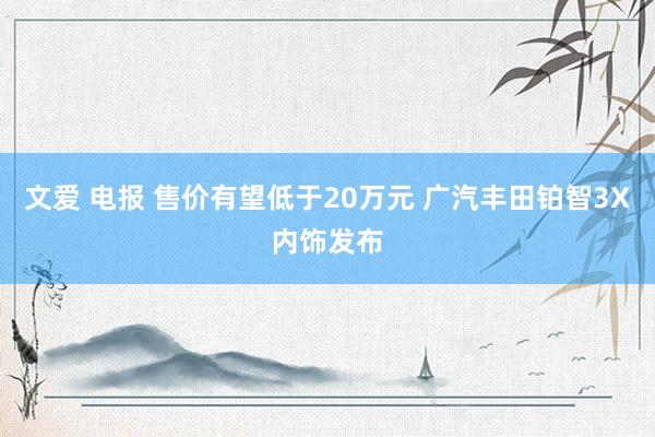 文爱 电报 售价有望低于20万元 广汽丰田铂智3X内饰发布