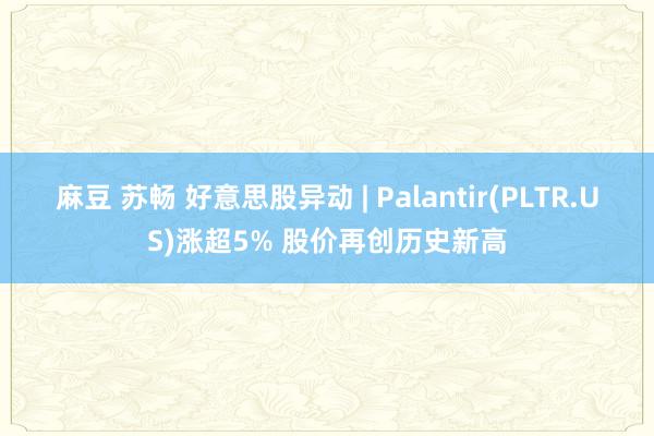 麻豆 苏畅 好意思股异动 | Palantir(PLTR.US)涨超5% 股价再创历史新高