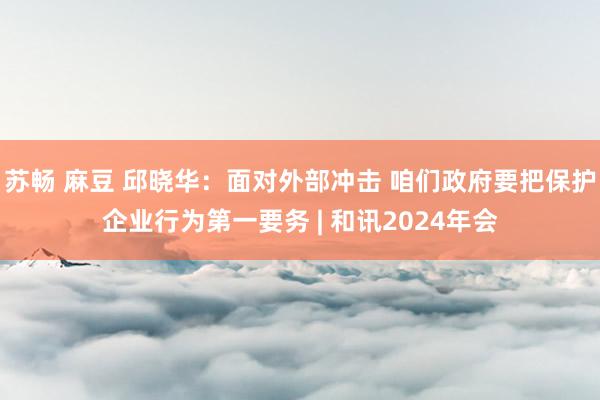 苏畅 麻豆 邱晓华：面对外部冲击 咱们政府要把保护企业行为第一要务 | 和讯2024年会