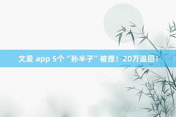 文爱 app 5个“孙半子”被捏！20万追回！