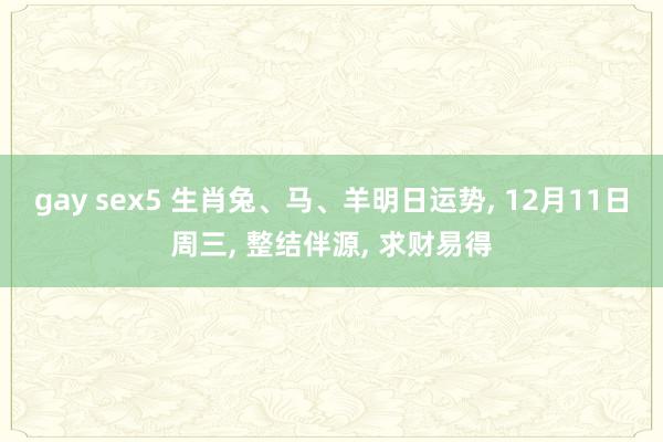 gay sex5 生肖兔、马、羊明日运势， 12月11日周三， 整结伴源， 求财易得