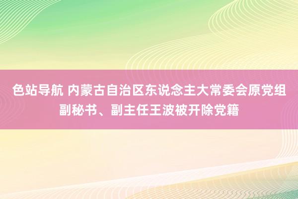 色站导航 内蒙古自治区东说念主大常委会原党组副秘书、副主任王波被开除党籍