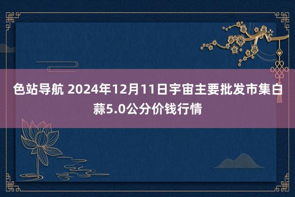 色站导航 2024年12月11日宇宙主要批发市集白蒜5.0公分价钱行情