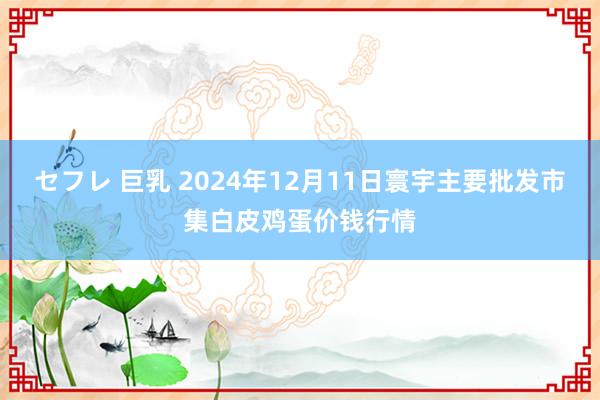 セフレ 巨乳 2024年12月11日寰宇主要批发市集白皮鸡蛋价钱行情