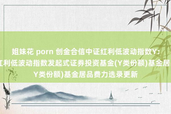 姐妹花 porn 创金合信中证红利低波动指数Y: 创金合信中证红利低波动指数发起式证券投资基金(Y类份额)基金居品费力选录更新