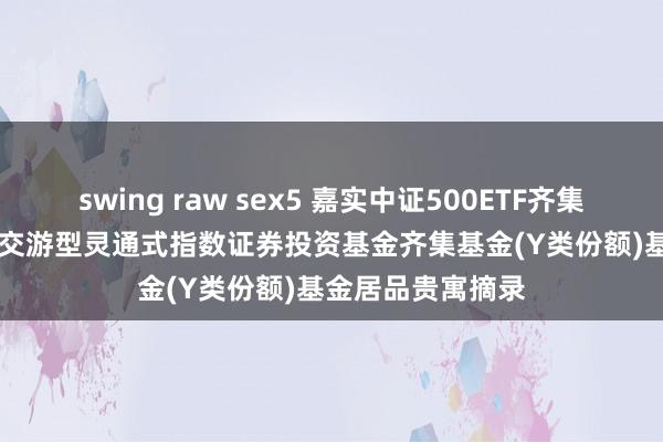 swing raw sex5 嘉实中证500ETF齐集Y: 嘉实中证500交游型灵通式指数证券投资基金齐集基金(Y类份额)基金居品贵寓摘录