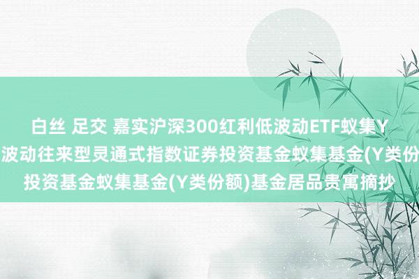 白丝 足交 嘉实沪深300红利低波动ETF蚁集Y: 嘉实沪深300红利低波动往来型灵通式指数证券投资基金蚁集基金(Y类份额)基金居品贵寓摘抄