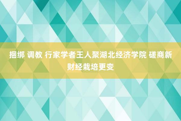 捆绑 调教 行家学者王人聚湖北经济学院 磋商新财经栽培更变