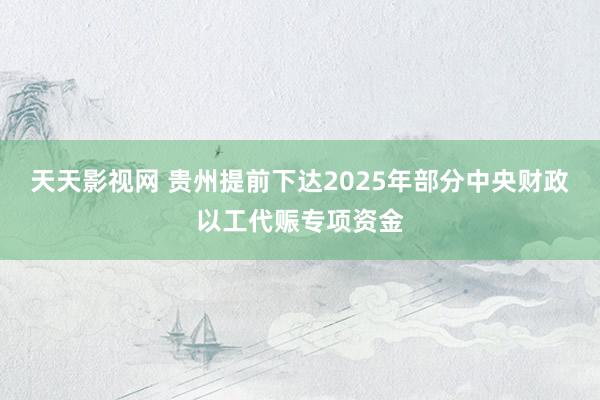 天天影视网 贵州提前下达2025年部分中央财政以工代赈专项资金