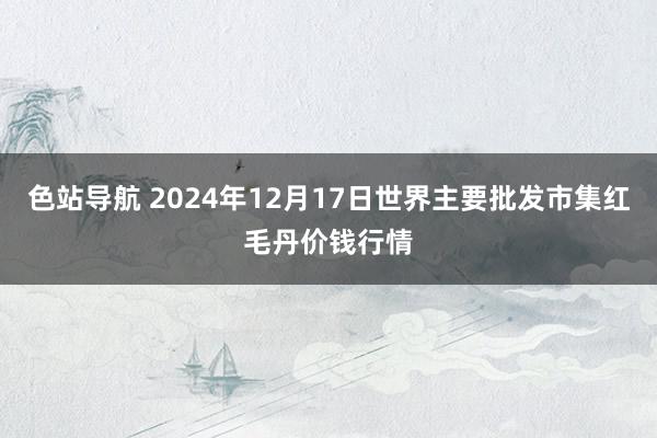 色站导航 2024年12月17日世界主要批发市集红毛丹价钱行情