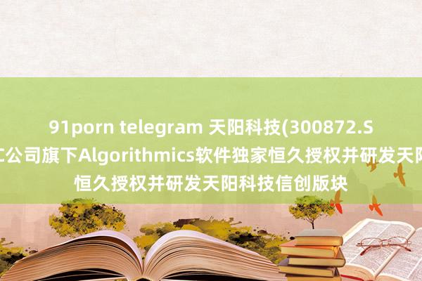 91porn telegram 天阳科技(300872.SZ)：拟购买SSC公司旗下Algorithmics软件独家恒久授权并研发天阳科技信创版块