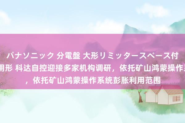 パナソニック 分電盤 大形リミッタースペース付 露出・半埋込両用形 科达自控迎接多家机构调研，依托矿山鸿蒙操作系统彭胀利用范围