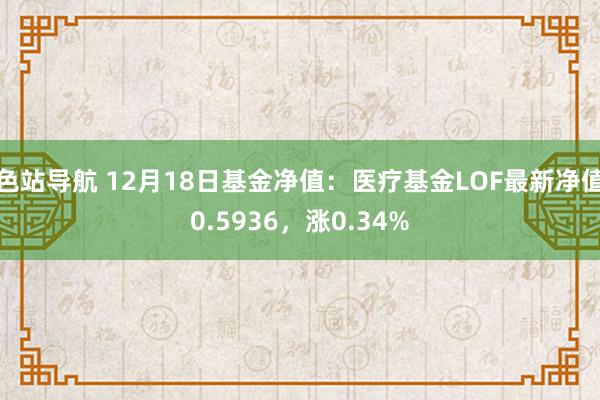 色站导航 12月18日基金净值：医疗基金LOF最新净值0.5936，涨0.34%