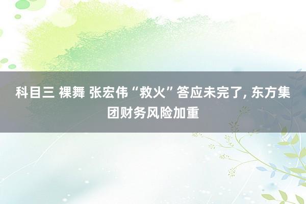 科目三 裸舞 张宏伟“救火”答应未完了， 东方集团财务风险加重