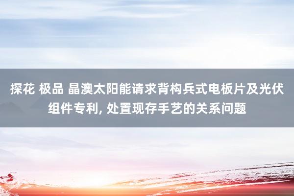 探花 极品 晶澳太阳能请求背构兵式电板片及光伏组件专利， 处置现存手艺的关系问题