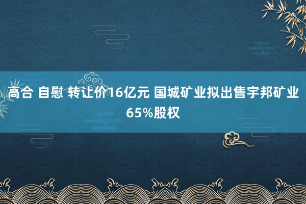 高合 自慰 转让价16亿元 国城矿业拟出售宇邦矿业65%股权