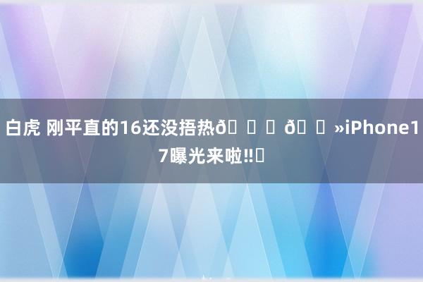 白虎 刚平直的16还没捂热👋🏻iPhone17曝光来啦‼️