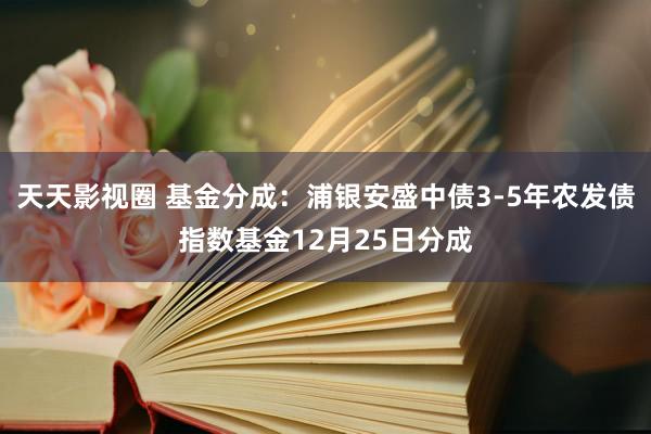 天天影视圈 基金分成：浦银安盛中债3-5年农发债指数基金12月25日分成