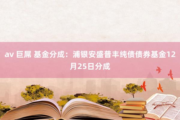 av 巨屌 基金分成：浦银安盛普丰纯债债券基金12月25日分成